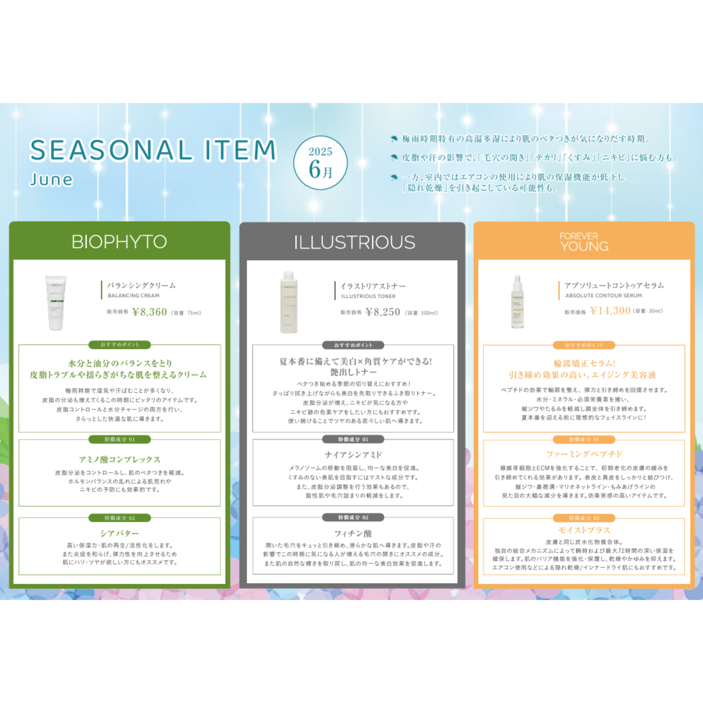 SEASONAL ITEM-6月のおすすめクリスティーナアイテム‐