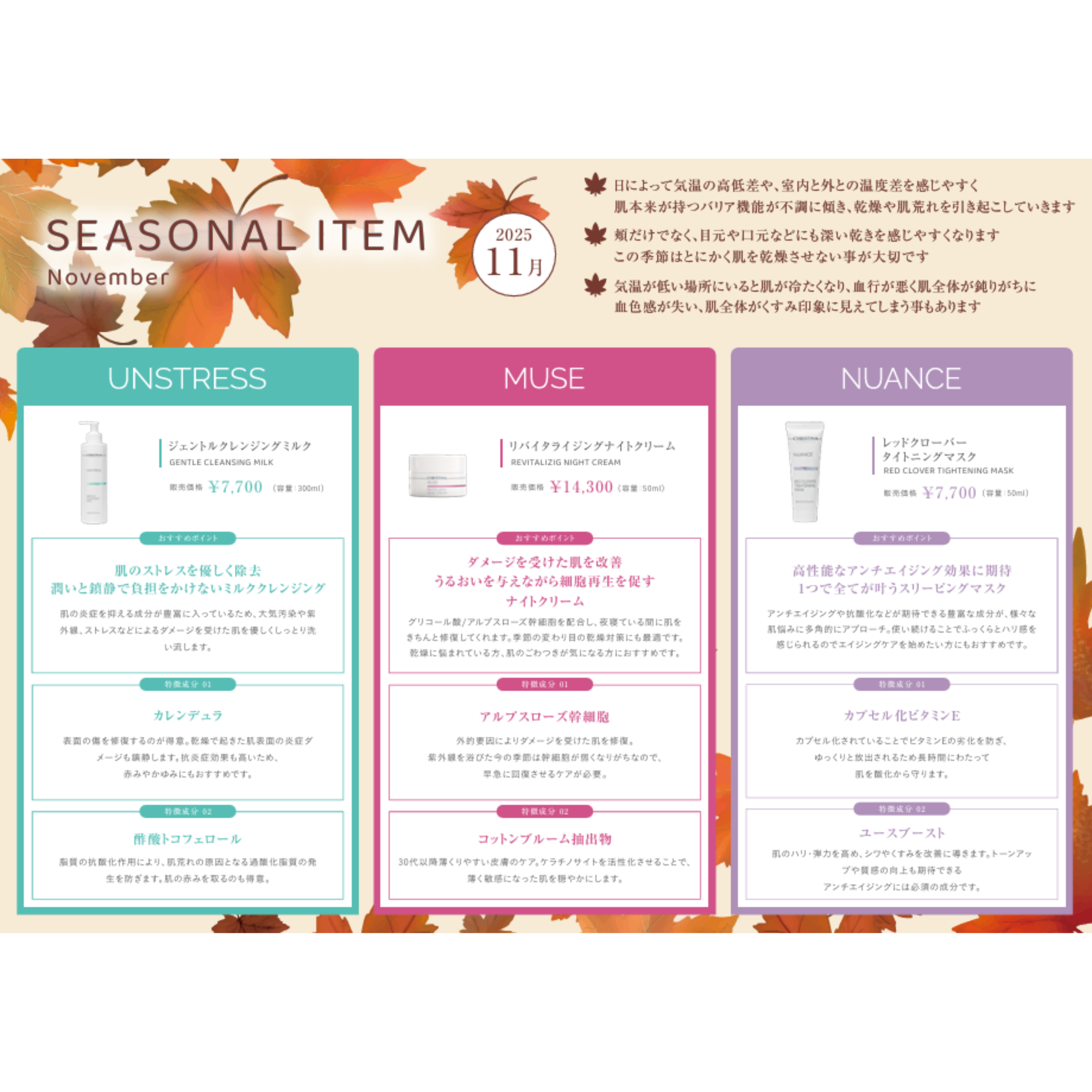 SEASONAL ITEM-11月のおすすめクリスティーナアイテム‐