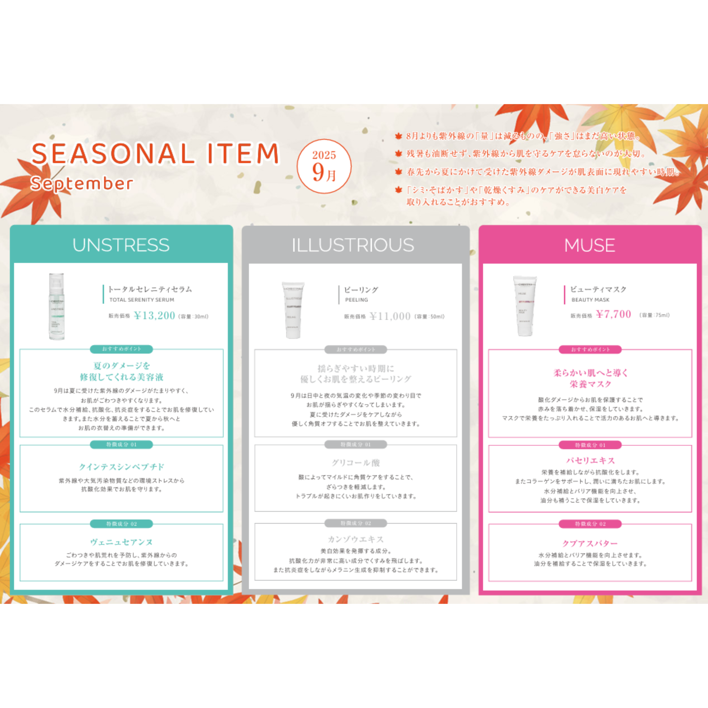 SEASONAL ITEM-9月のおすすめクリスティーナアイテム‐