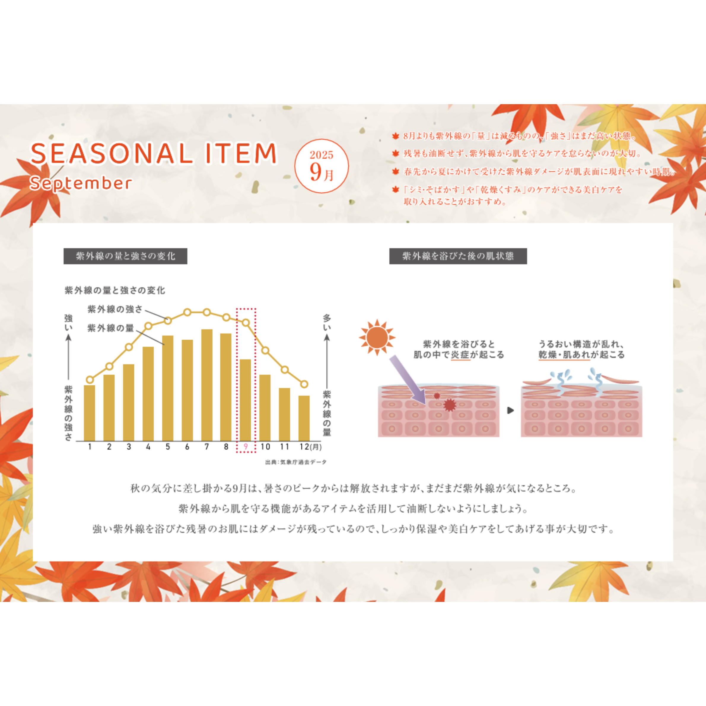 SEASONAL ITEM‐9月肌状態‐