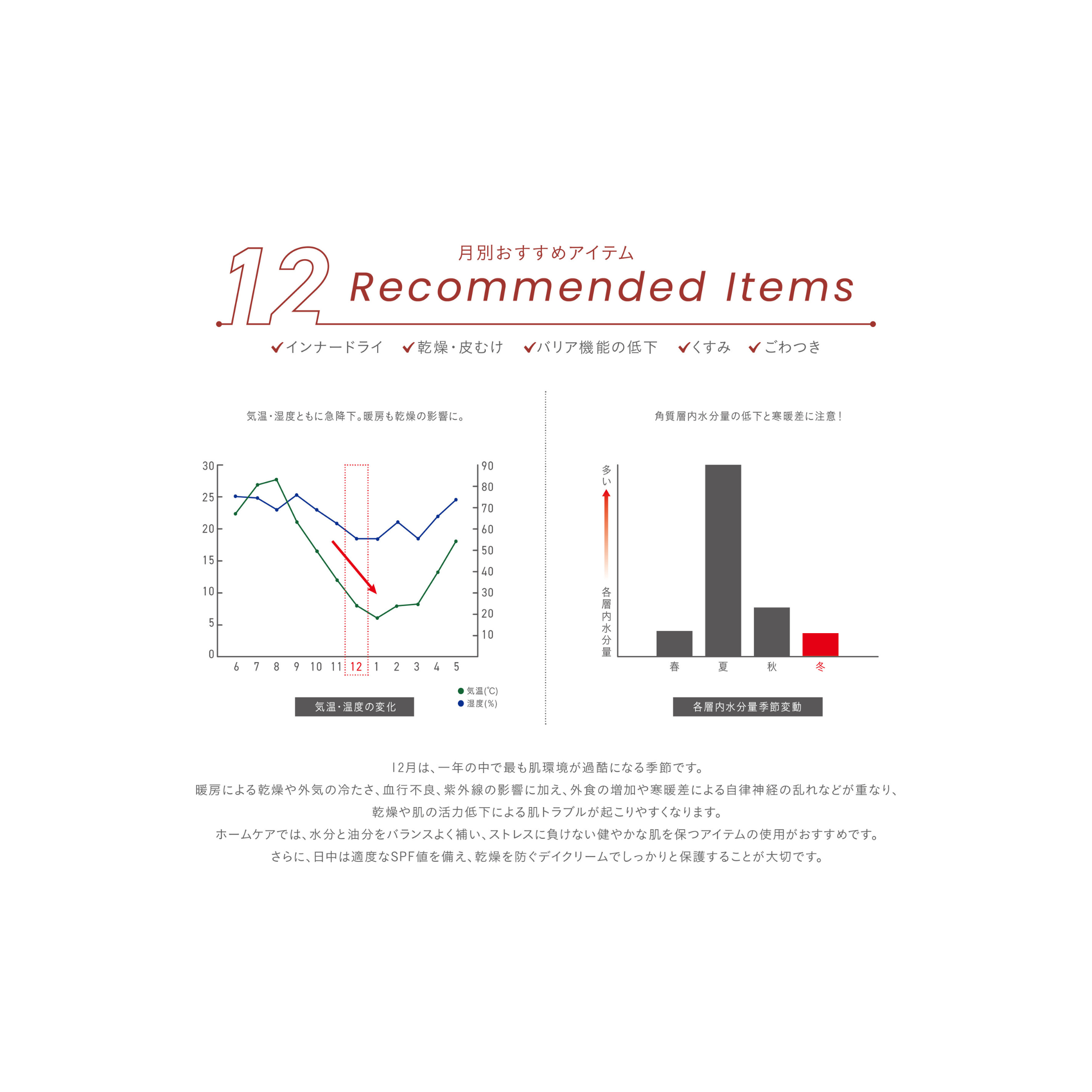 SEASONAL ITEM‐12月肌状態‐