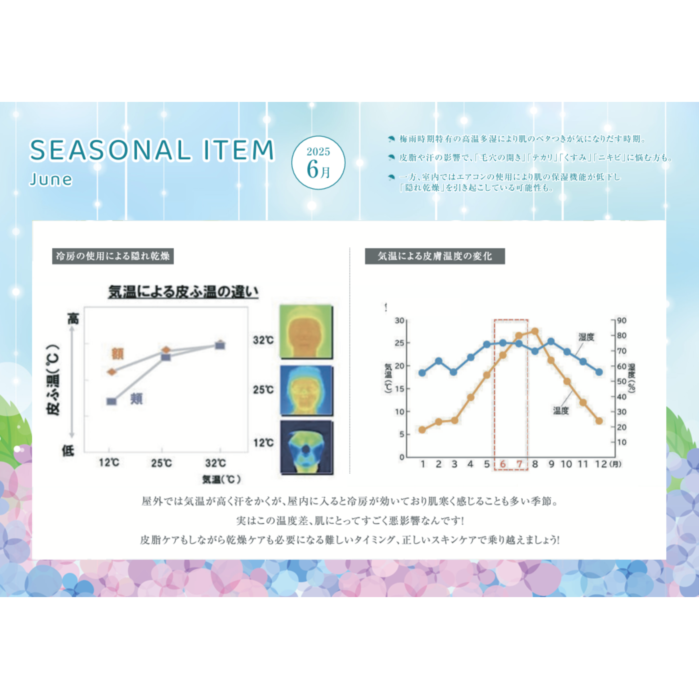 SESONAL ITEM-６月肌状態‐