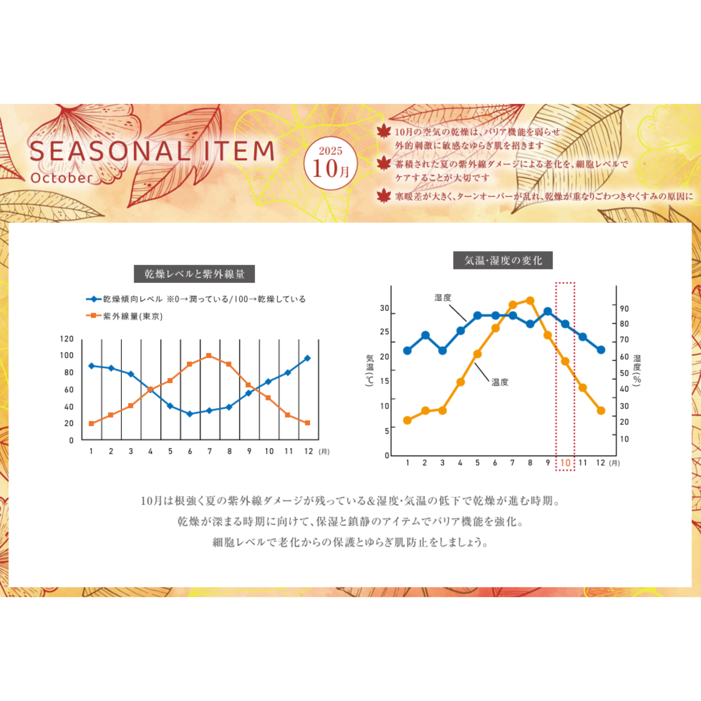 SEASONAL ITEM‐10月肌状態‐