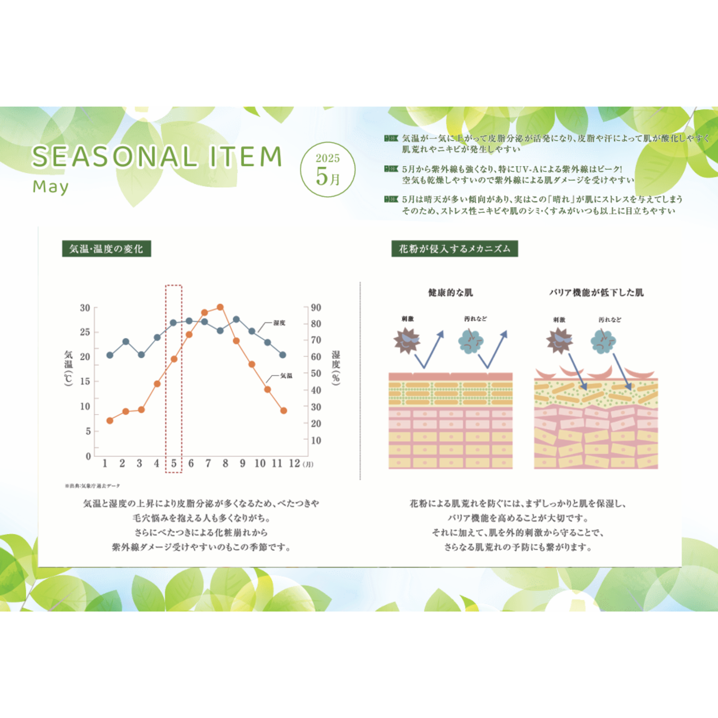 SEASONAL ITEM‐5月肌状態‐