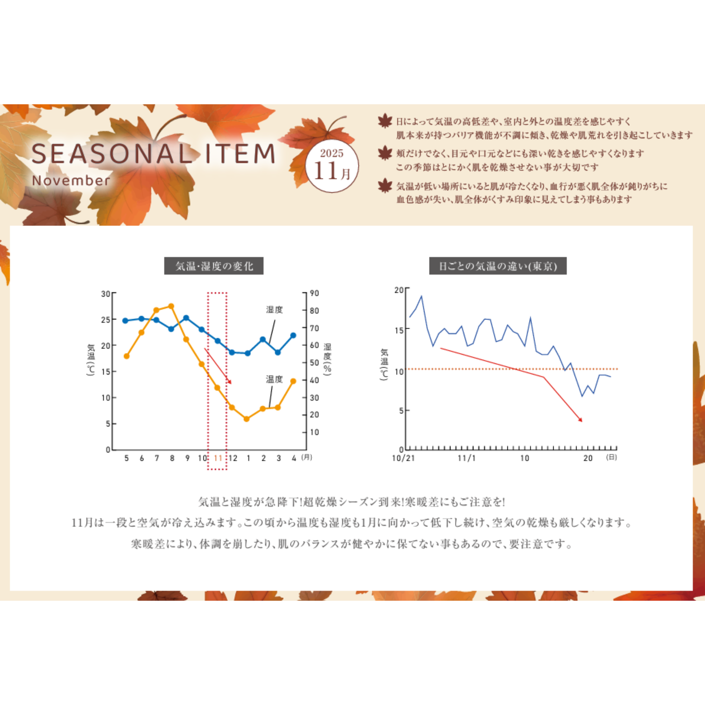 SEASONAL ITEM‐11月肌状態‐