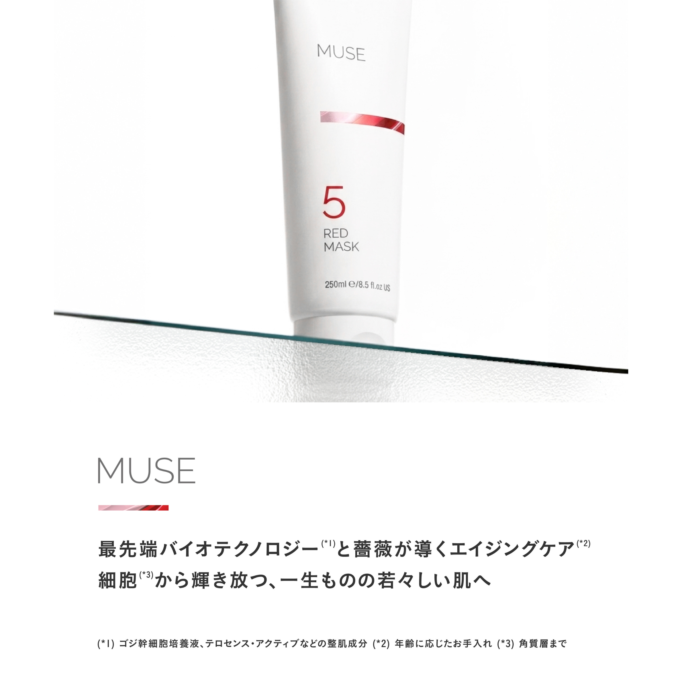 NEW✨MUSEの施術のご紹介